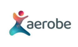 Aerobe
